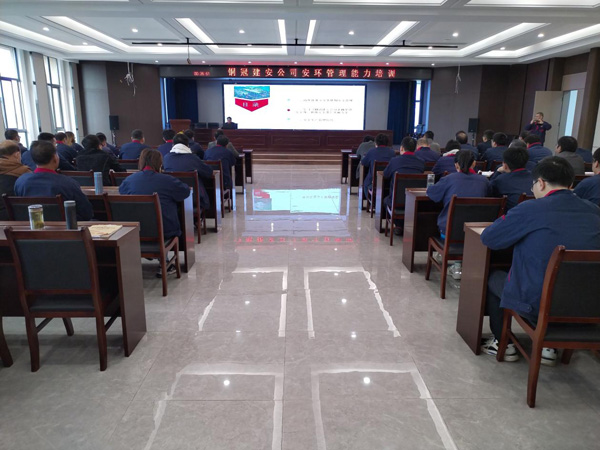 公司召开安全环保治理培训 