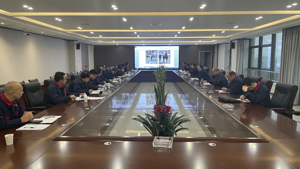 0aede65ab0f21b5 公司党委发展2022年党建项目攻关评审