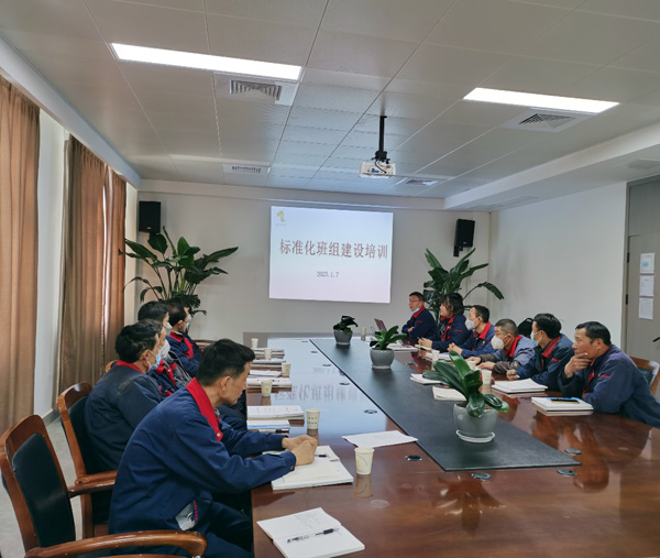 59e33e91d6ae1a5 钢构公司组织发展尺度化班组建设培训