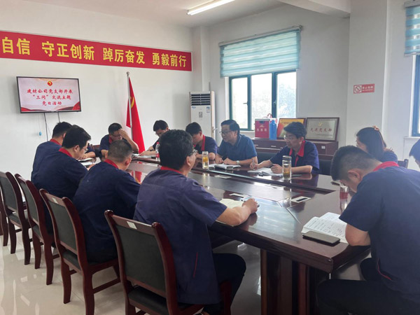 王伍升参与建材公司党支部主题党日活动