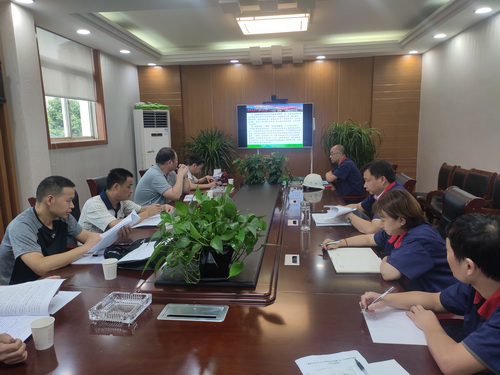 集团公司到公司发展二季度安全环保综合大查抄