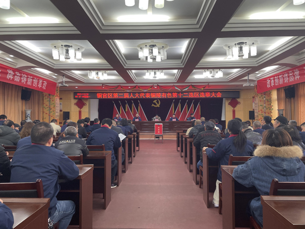 公司实现铜官区第二届人大代表选举工作 