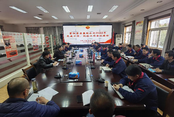 公司召开会议通报集团公司党建工作、、、纪检工作会议心灵