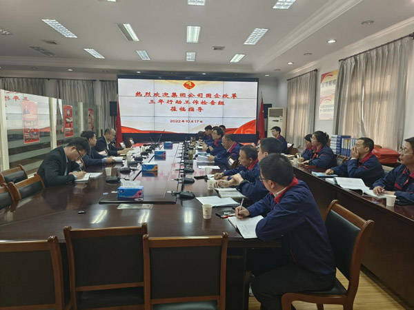 集团公司到公司查抄“国企鼎新三年行动”