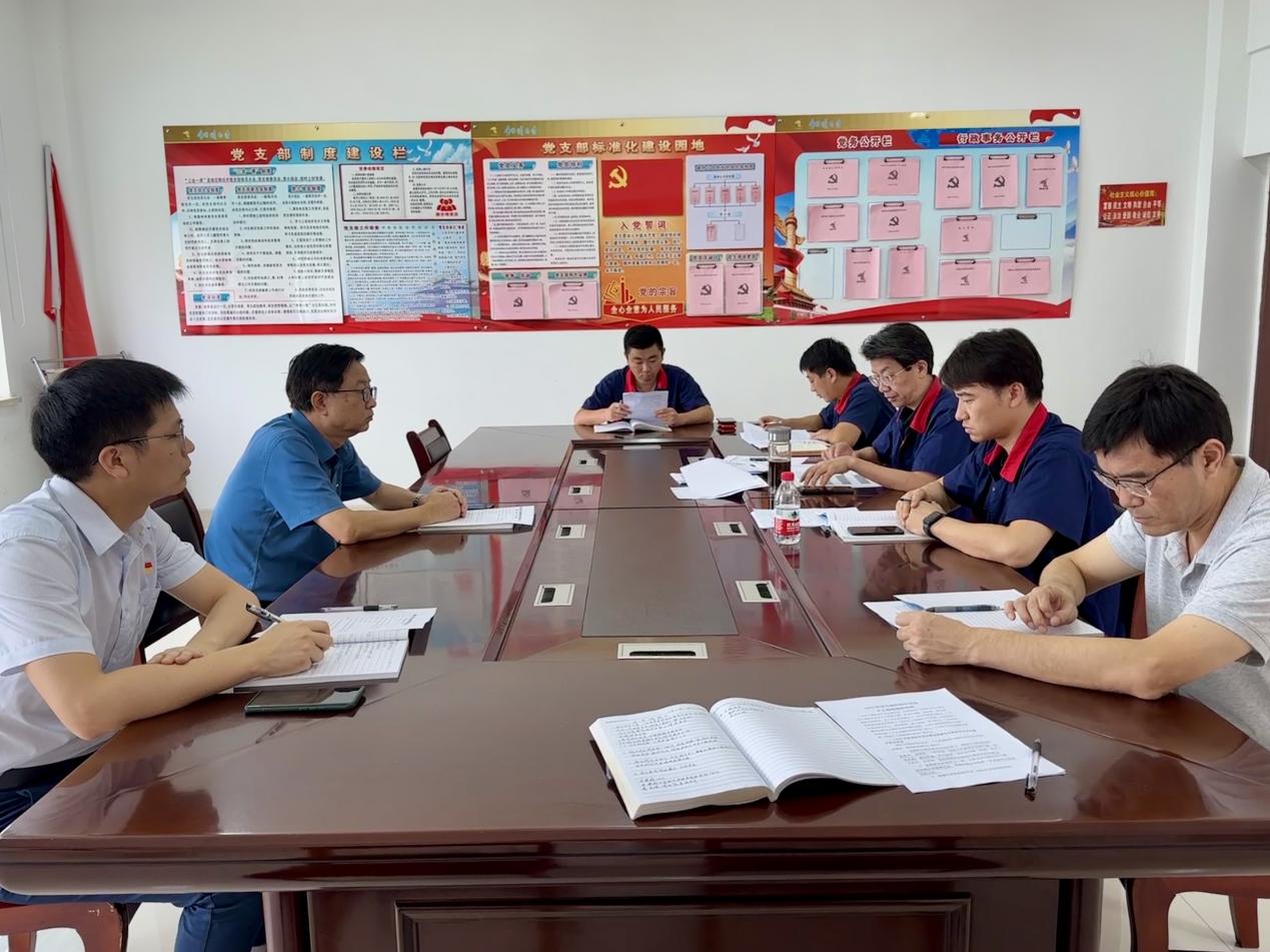 公司各党支部召开学习贯彻习近平新时期中国特色社会主义思想主题教育专题组织生涯会