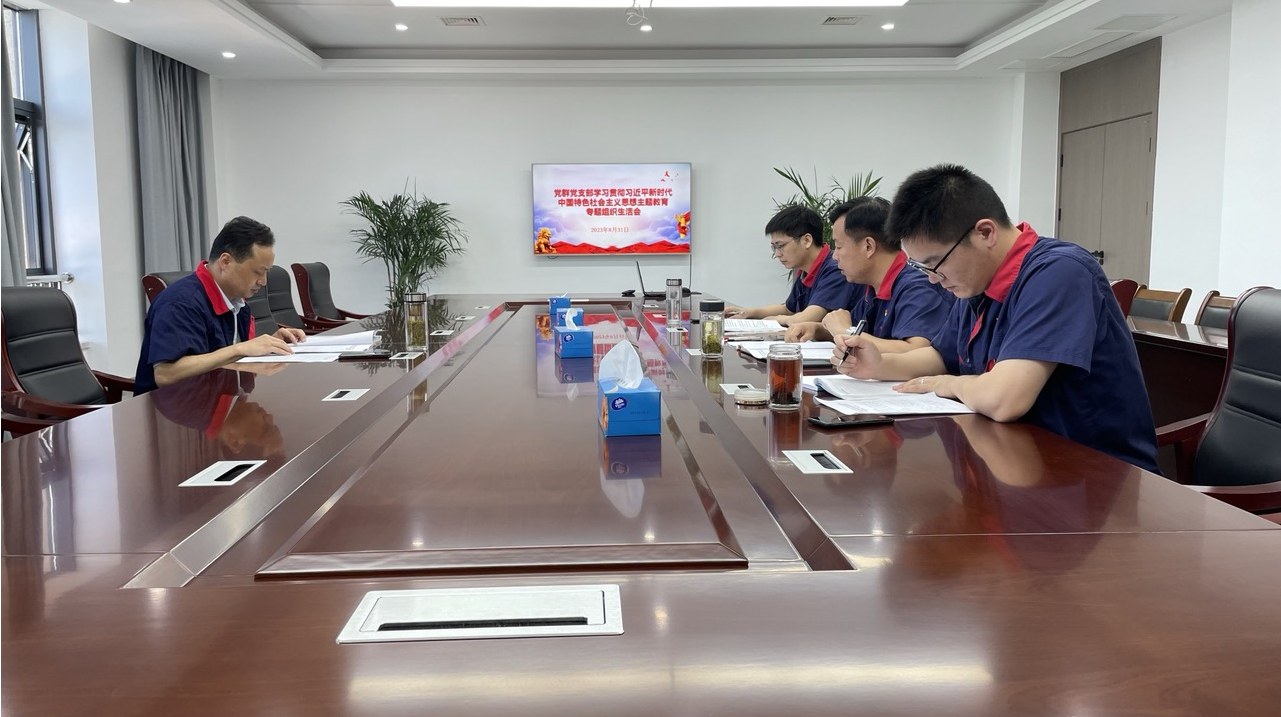 公司各党支部召开学习贯彻习近平新时期中国特色社会主义思想主题教育专题组织生涯会