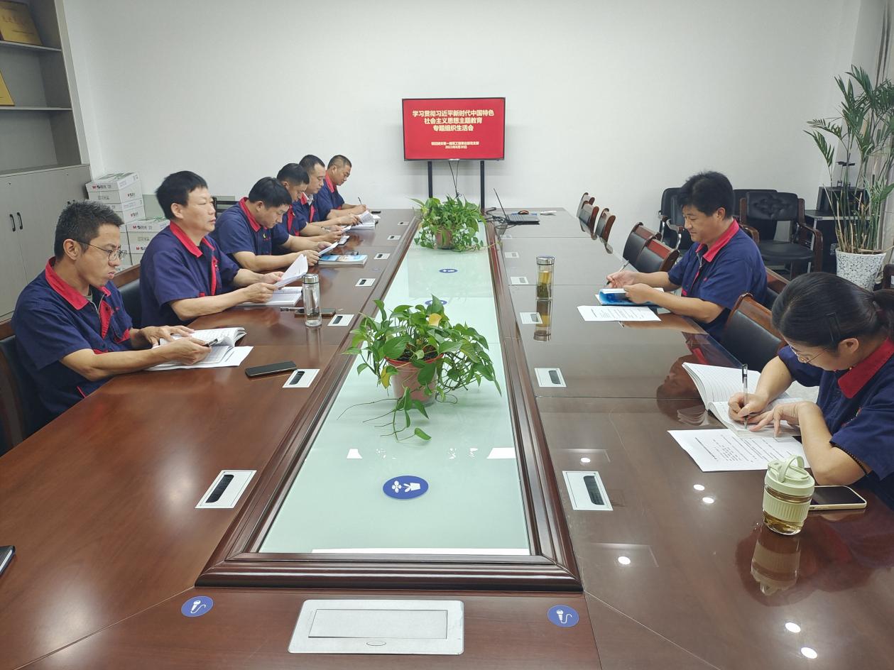 公司各党支部召开学习贯彻习近平新时期中国特色社会主义思想主题教育专题组织生涯会