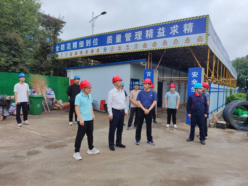 集团公司总经理到岳阳铜箔项目调研