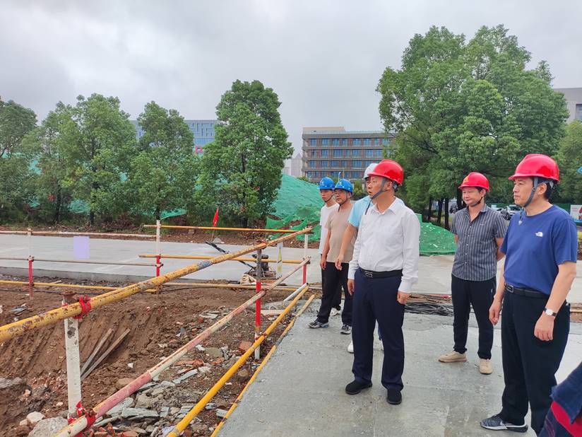 集团公司总经理到岳阳铜箔项目调研